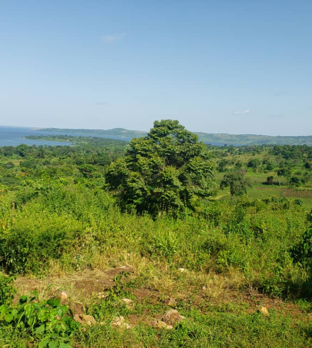 WhatsApp Image 2022-06-04 at 8.52.09 PM.jpeg